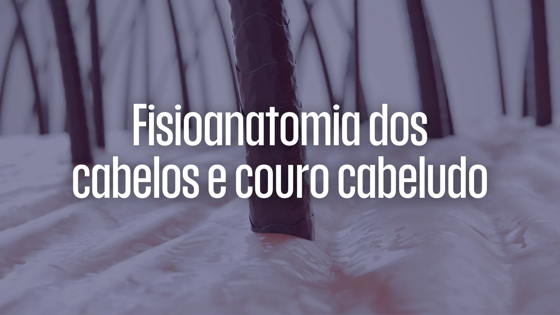 Fisioanatomia do Couro Cabeludo e do Folículo Piloso